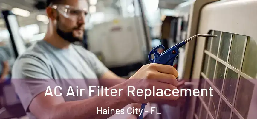  AC Air Filter Replacement Haines City - FL