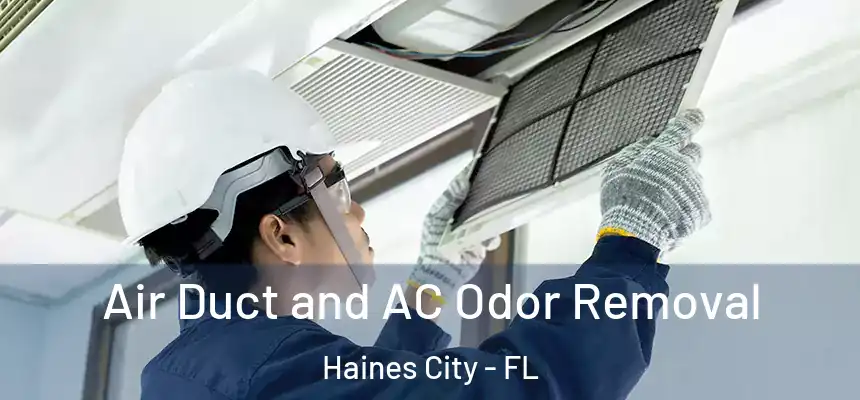  Air Duct and AC Odor Removal Haines City - FL