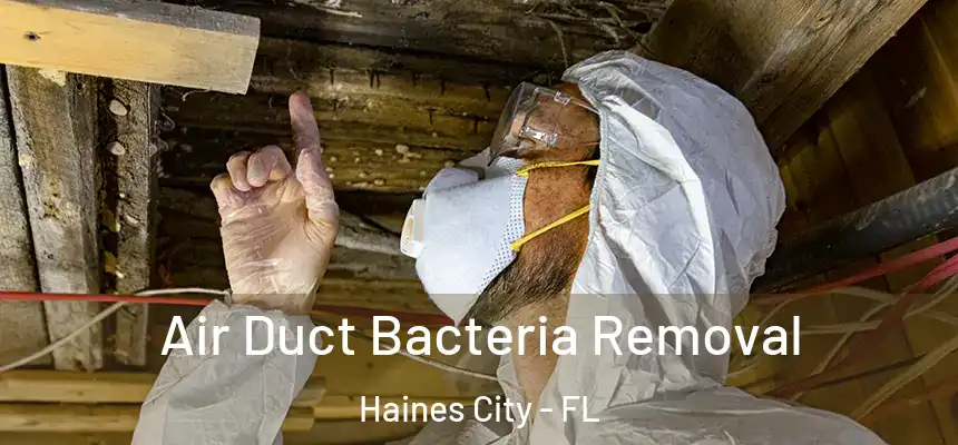  Air Duct Bacteria Removal Haines City - FL