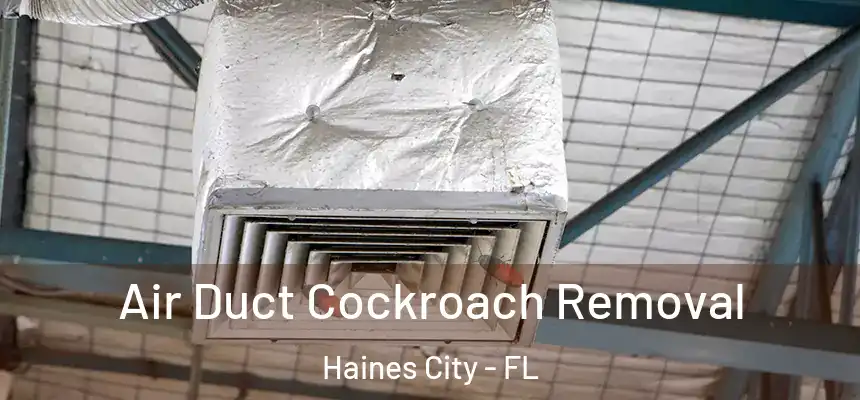  Air Duct Cockroach Removal Haines City - FL