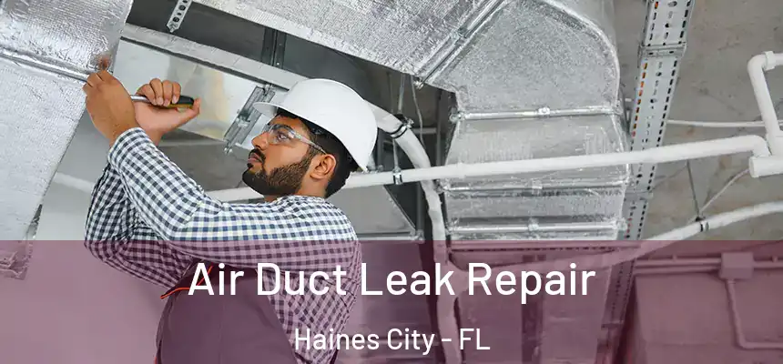  Air Duct Leak Repair Haines City - FL