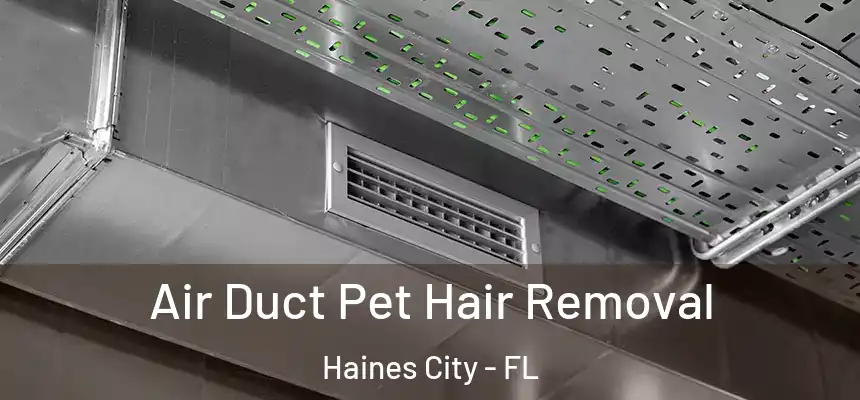  Air Duct Pet Hair Removal Haines City - FL
