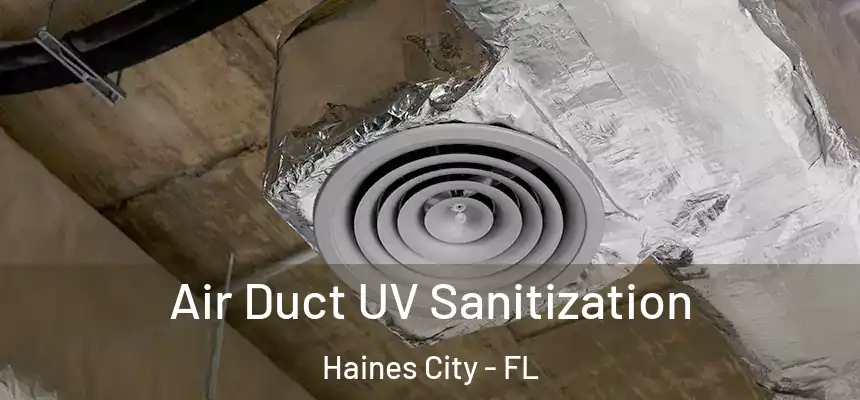  Air Duct UV Sanitization Haines City - FL
