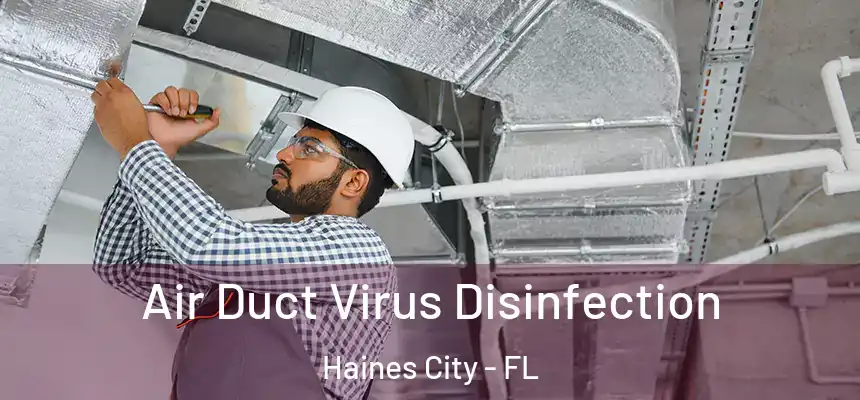  Air Duct Virus Disinfection Haines City - FL