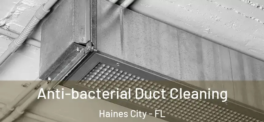  Anti-bacterial Duct Cleaning Haines City - FL