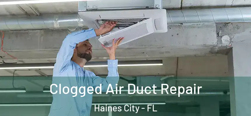  Clogged Air Duct Repair Haines City - FL