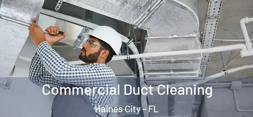  Commercial Duct Cleaning Haines City - FL