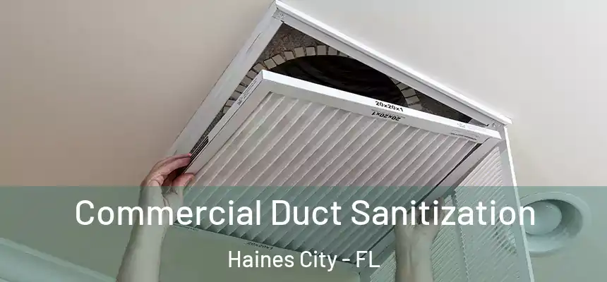 Commercial Duct Sanitization Haines City - FL