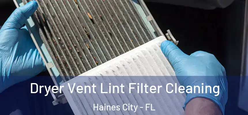  Dryer Vent Lint Filter Cleaning Haines City - FL