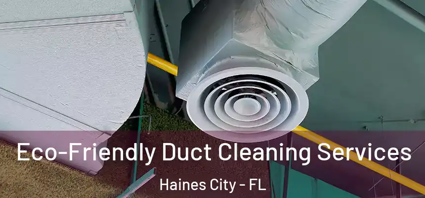  Eco-Friendly Duct Cleaning Services Haines City - FL