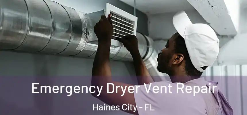  Emergency Dryer Vent Repair Haines City - FL