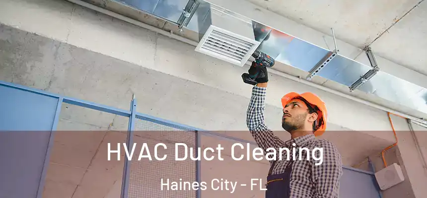  HVAC Duct Cleaning Haines City - FL