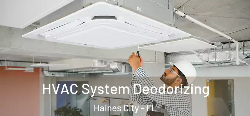  HVAC System Deodorizing Haines City - FL