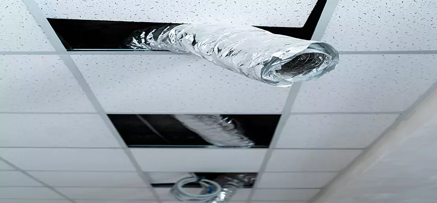 Our Air Duct Pet Hair Removal Services in Haines City, FL