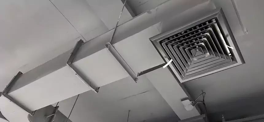 Restorative Allergy Relief Vent Cleaning – Coil, Blower & Housing Detail in Haines City