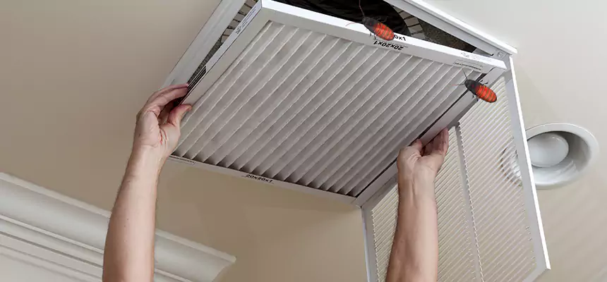 Our Insect Removal from Air Ducts Services in Haines City, FL