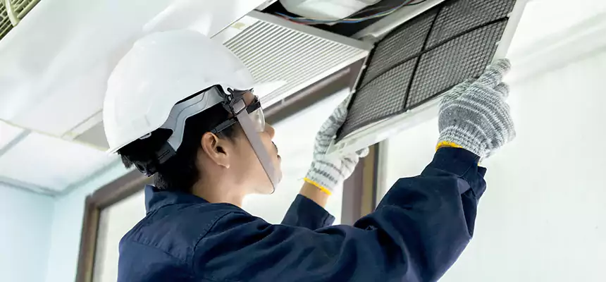 Our Mold & Mildew Removal from Air Ducts Services in Haines City, FL