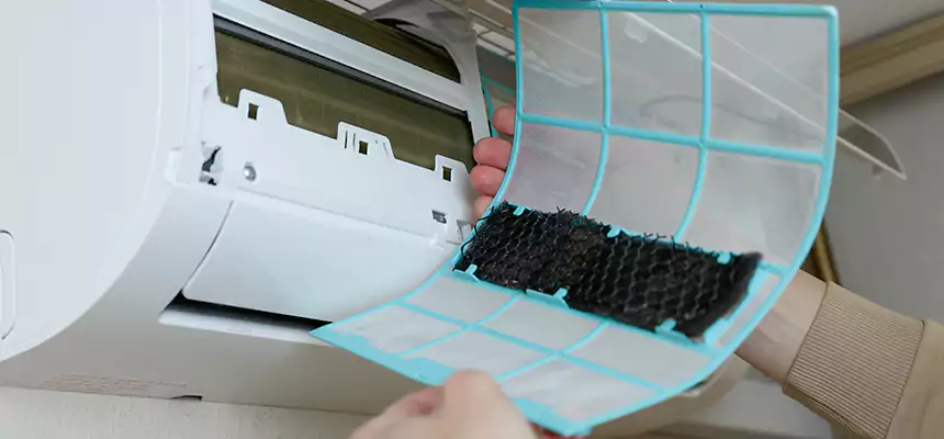 Gentle Ductwork Odor-Control Pet Dander Duct Cleaning in Haines City, FL