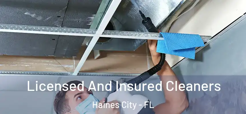  Licensed And Insured Cleaners Haines City - FL