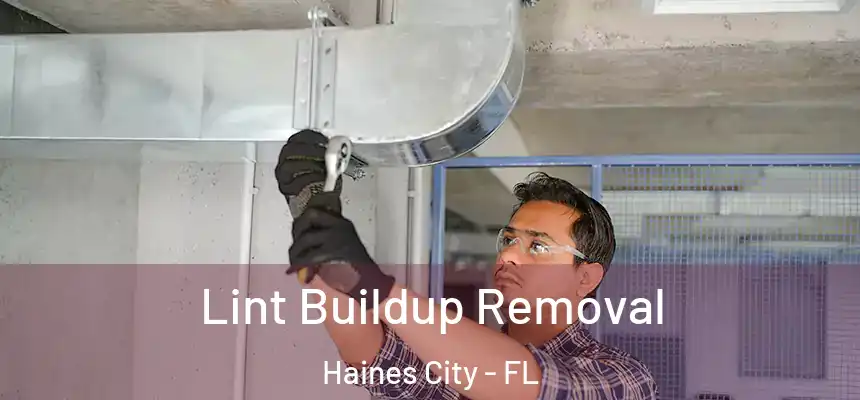  Lint Buildup Removal Haines City - FL