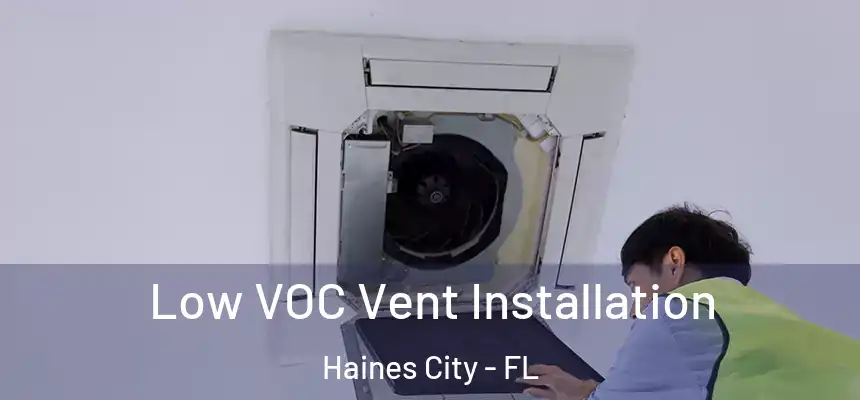  Low VOC Vent Installation Haines City - FL