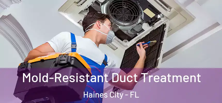  Mold-Resistant Duct Treatment Haines City - FL