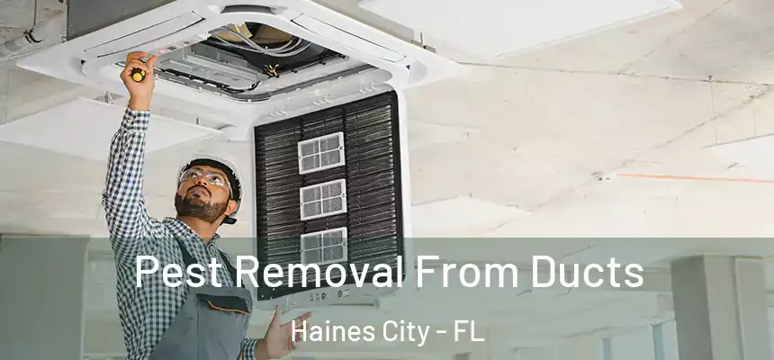  Pest Removal From Ducts Haines City - FL