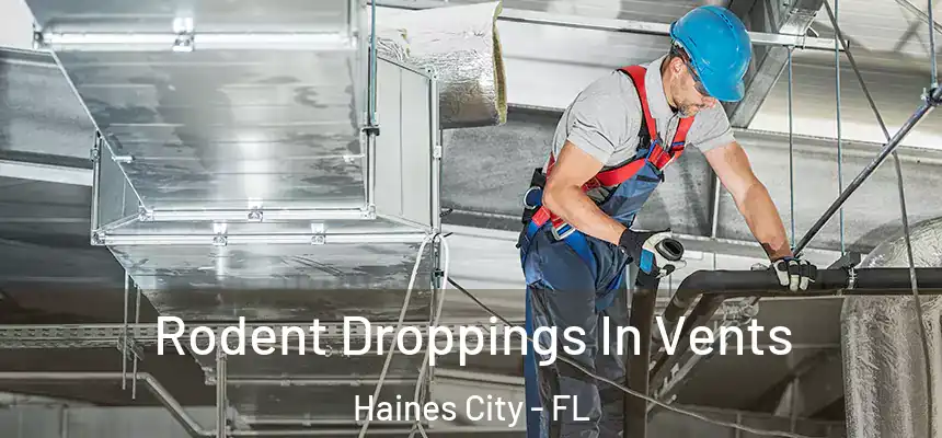 Rodent Droppings In Vents Haines City - FL