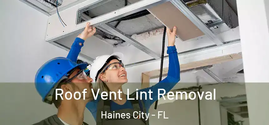 Roof Vent Lint Removal Haines City - FL