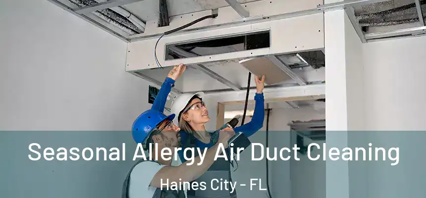  Seasonal Allergy Air Duct Cleaning Haines City - FL