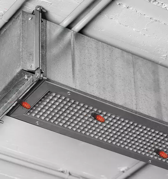 About Air Duct Cockroach Removal in Haines City, FL