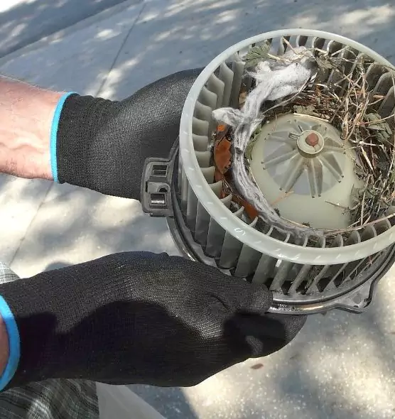 About Air Duct Rat Removal in Haines City, FL