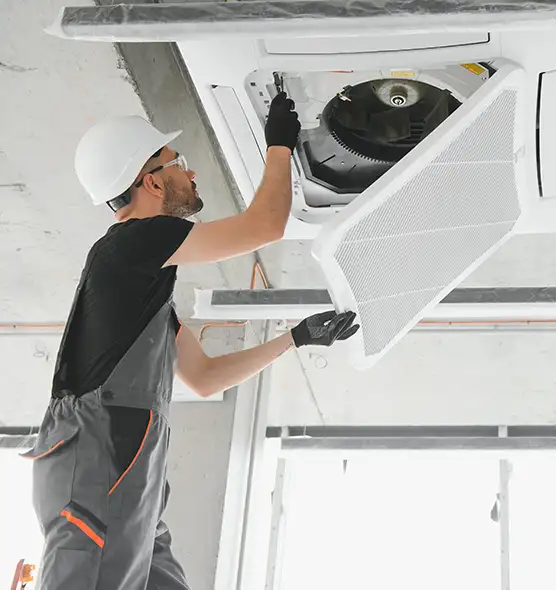 About Air Duct Rodent Removal in Haines City, FL