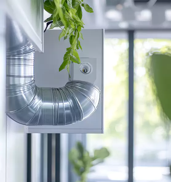 Professional Eco-Safe Dryer Vent Cleaning in Haines City, FL