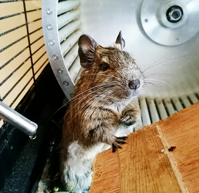 Why Homeowners & Businesses Trust Us Haines City, FL?