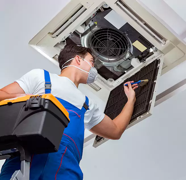 Why Homeowners & Businesses Trust Us in Haines City, FL