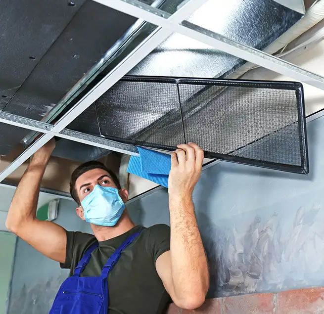 Why Homeowners & Businesses Trust Us in Haines City, FL?