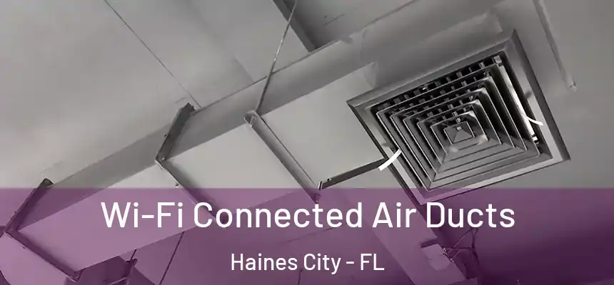  Wi-Fi Connected Air Ducts Haines City - FL